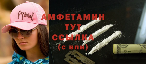 молекула духа Абинск