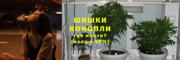 спиды Пыталово