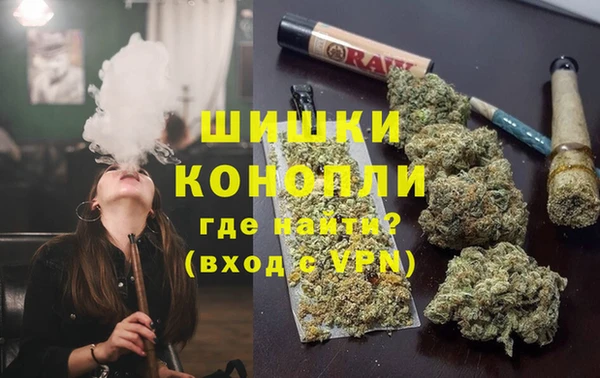 индика Пыть-Ях