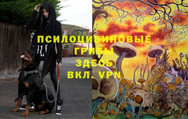 a pvp Абаза