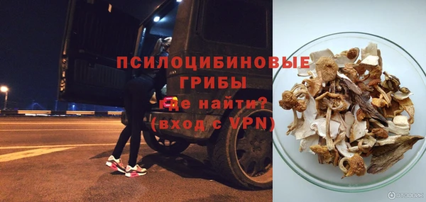 молекула духа Абинск