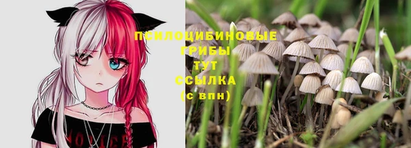 молекула духа Абинск